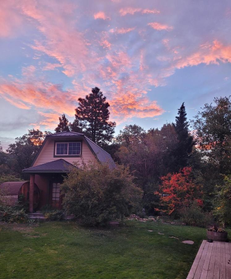 Angel Cottage With A Sauna Or The Cozy With A Jacuzzi Tub, Both Are Studios With A View Of Mount Shasta Eksteriør billede
