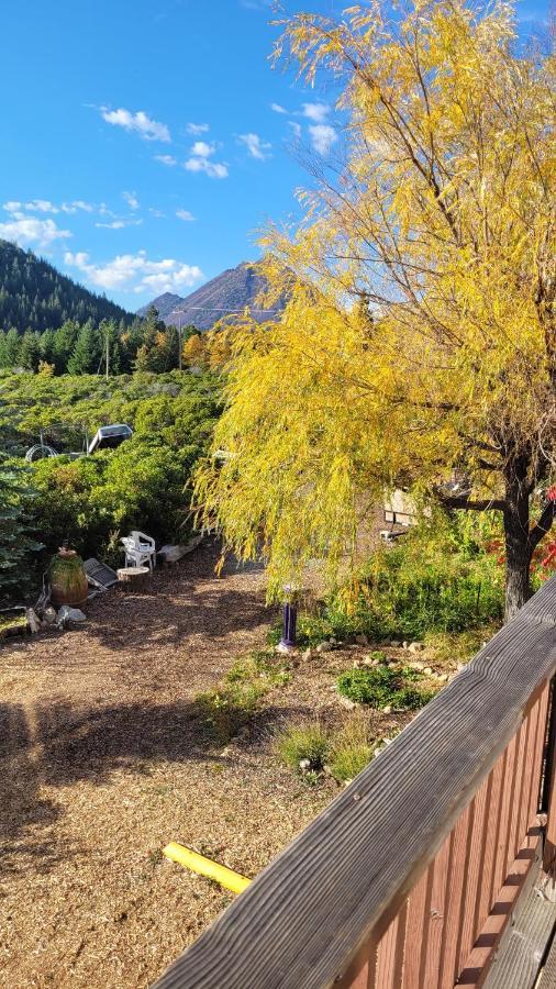 Angel Cottage With A Sauna Or The Cozy With A Jacuzzi Tub, Both Are Studios With A View Of Mount Shasta Eksteriør billede