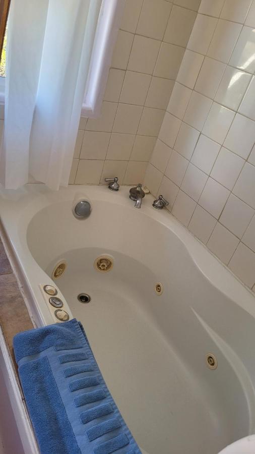 Angel Cottage With A Sauna Or The Cozy With A Jacuzzi Tub, Both Are Studios With A View Of Mount Shasta Eksteriør billede